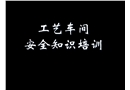 工藝車(chē)間級(jí)安全知識(shí)培訓(xùn)