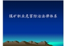 煤礦職業(yè)危害防治法律體系培訓(xùn)