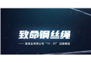 致命鋼絲繩-某煤業(yè)有限公司10.20運輸事故