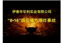 伊春市華利實(shí)業(yè)有限公司“8?16”煙花爆竹爆炸事故