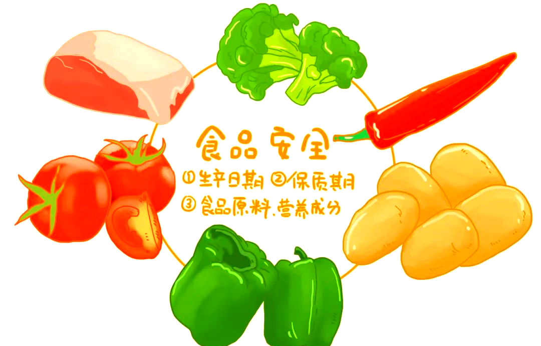 食品安全知識全解析：從概念到應急，守護你的健康飲食環境